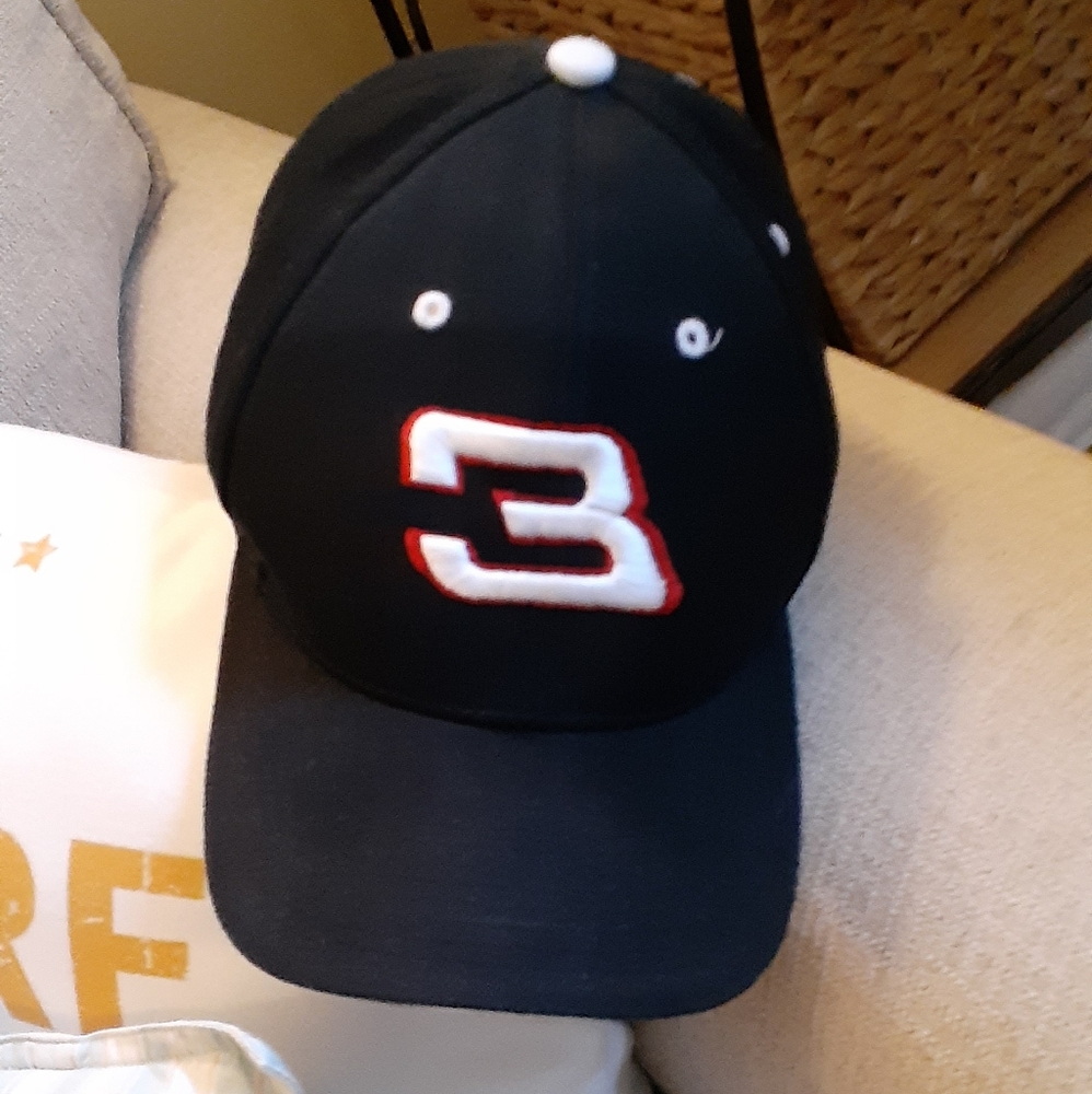 Vintage Earnhardt #3 Hat